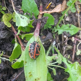 感動すら覚えた動画の画像