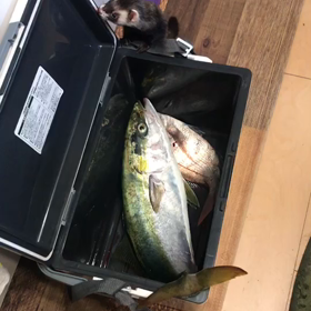 あらためて思う　グーグルフォト　思い出機能のお楽しみ♪の画像