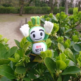 4/9の画像
