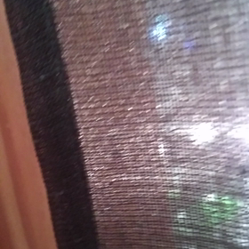 オープン！のときの、セスジローの画像