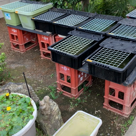 太陽きたぁ〜の画像