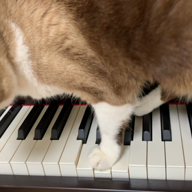 新生活ワクワクしてる？の画像