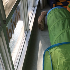 ♪プレイルーム動画♪②の画像