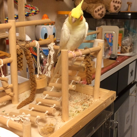 秋分の日の夜の画像