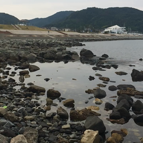 日本海久し振りの画像