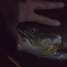 久々にせっせと針作りの画像