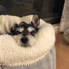 見つめられたらの画像