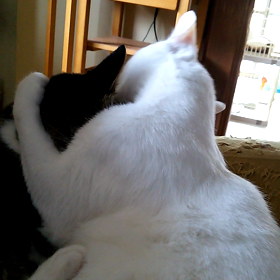 なんかなぁ～の画像