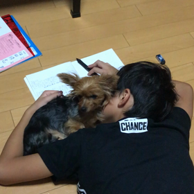 こーゆー時に限ってお邪魔が入るのよね^ ^の画像