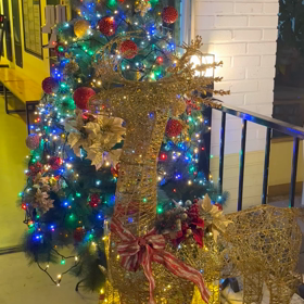 1日1クリスマスツリーfrom韓国！の画像