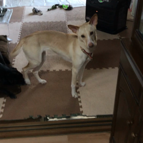 賑やかなの画像