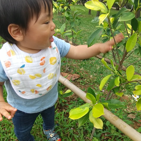 たのしみ。の画像