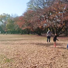 ジャベリック(記録会)⑨の画像