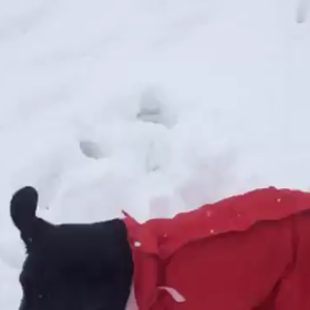 G.W  岐阜キャンプ〜  予約の画像