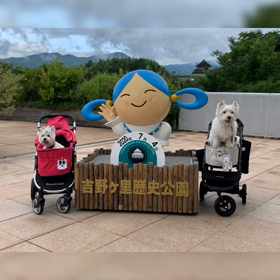 吉野ヶ里歴史公園の画像