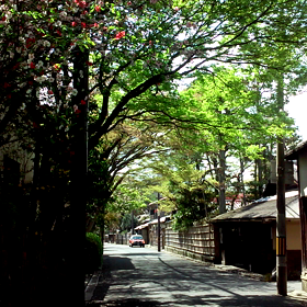 京都岡崎の画像