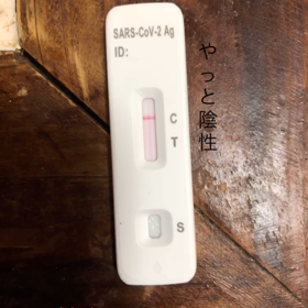 需要があるかわからんけどコロナ陰性まで。の画像