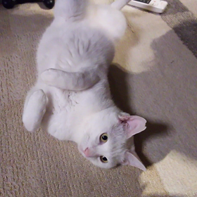 足の体操？の画像