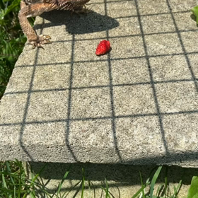 久しぶりの快晴の画像