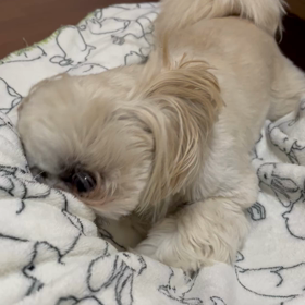 まったりーーー✨の画像