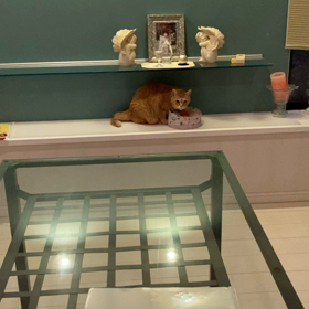 今日のマリアの画像