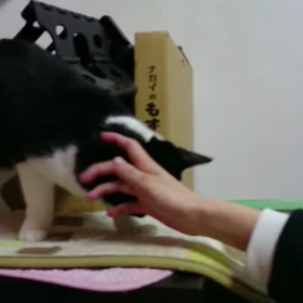 甘えん坊の画像