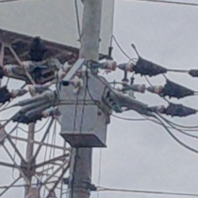 ☆ 大合唱  ☆の画像