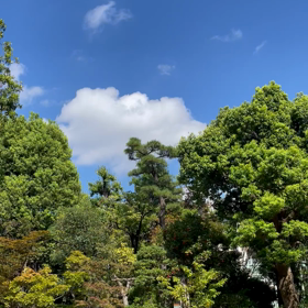 今日の出来事❗️の画像