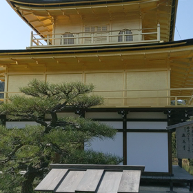 ニ泊三の旅！『金閣寺』※part.2動画編の画像