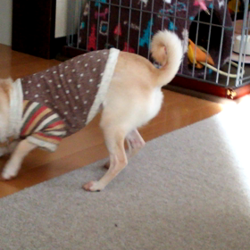 きな、イライラ(＃｀皿´)の画像