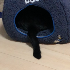 名前を呼ぶと・・・の画像