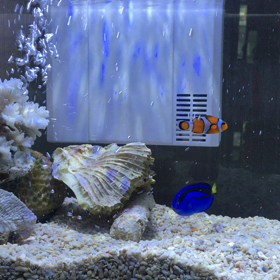 新しい家族の画像