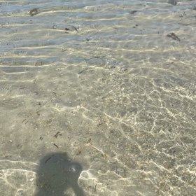 嬉しいね、楽しいねの画像