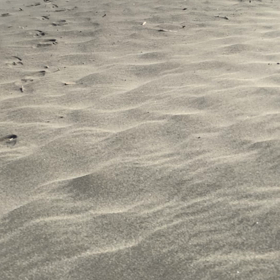 かくれんぼの画像