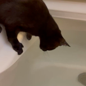 お湯混ぜバイトはじめましたーの画像