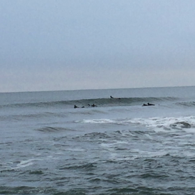 今朝の波の画像
