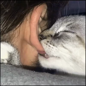 はむはむはむの画像