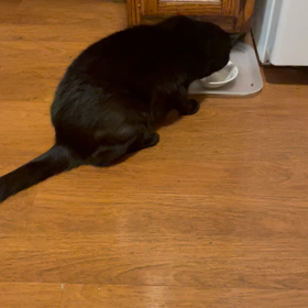 エアガールの画像