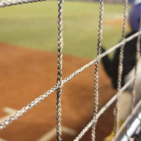 手羽タッチの画像