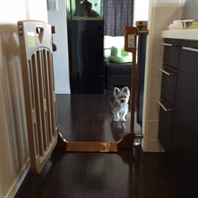 ベビーゲート付けたよ。の画像