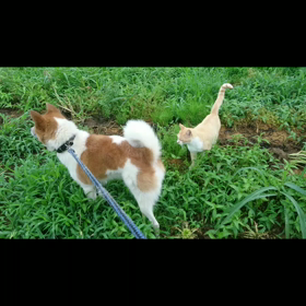 大の仲良し♪の画像