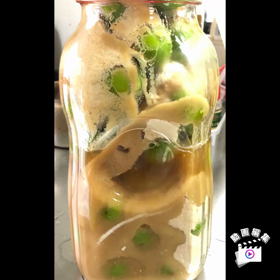 今年の梅シロップの画像