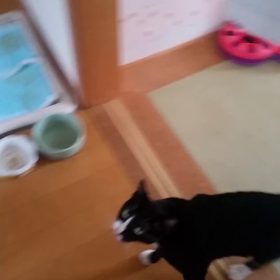 おっちゃんから学ぶことの画像