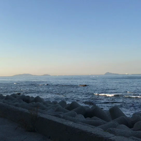 豊浜朝市の様子！の画像