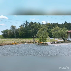 私達が顔を出せない理由とは…の画像