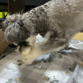 ぶっつぁけっちまうの画像