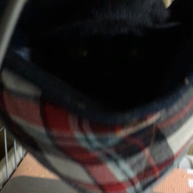 求む！プロ下僕の画像