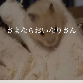 さよならおいなりさんの画像