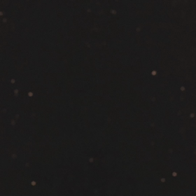 やっとかめ！( ´ ▽ ` )の画像