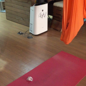 ハンモックの中に入っているのは、、、まさかの、、、の画像